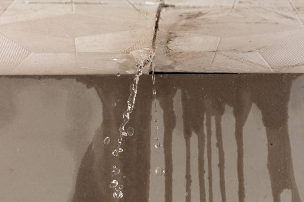 Professional Water Damage Restoration technician working in Zeeland, MI